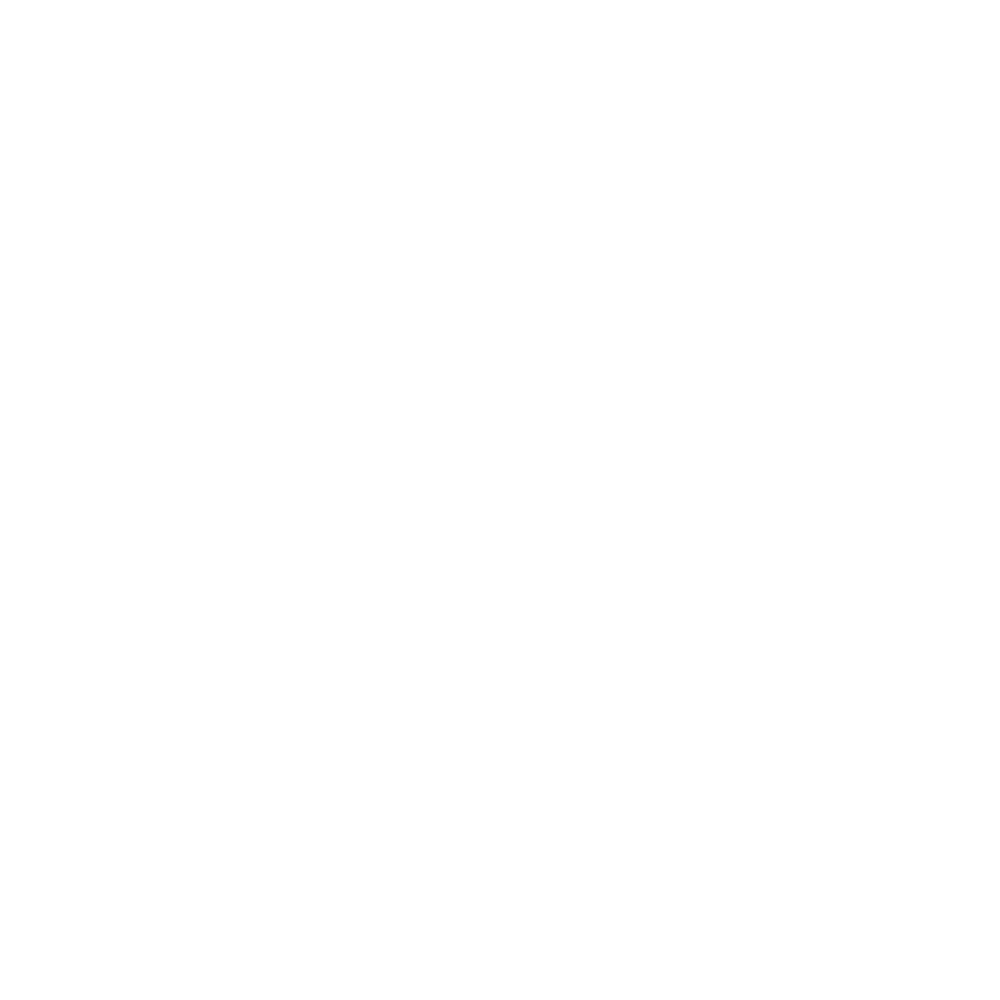 02 G pay